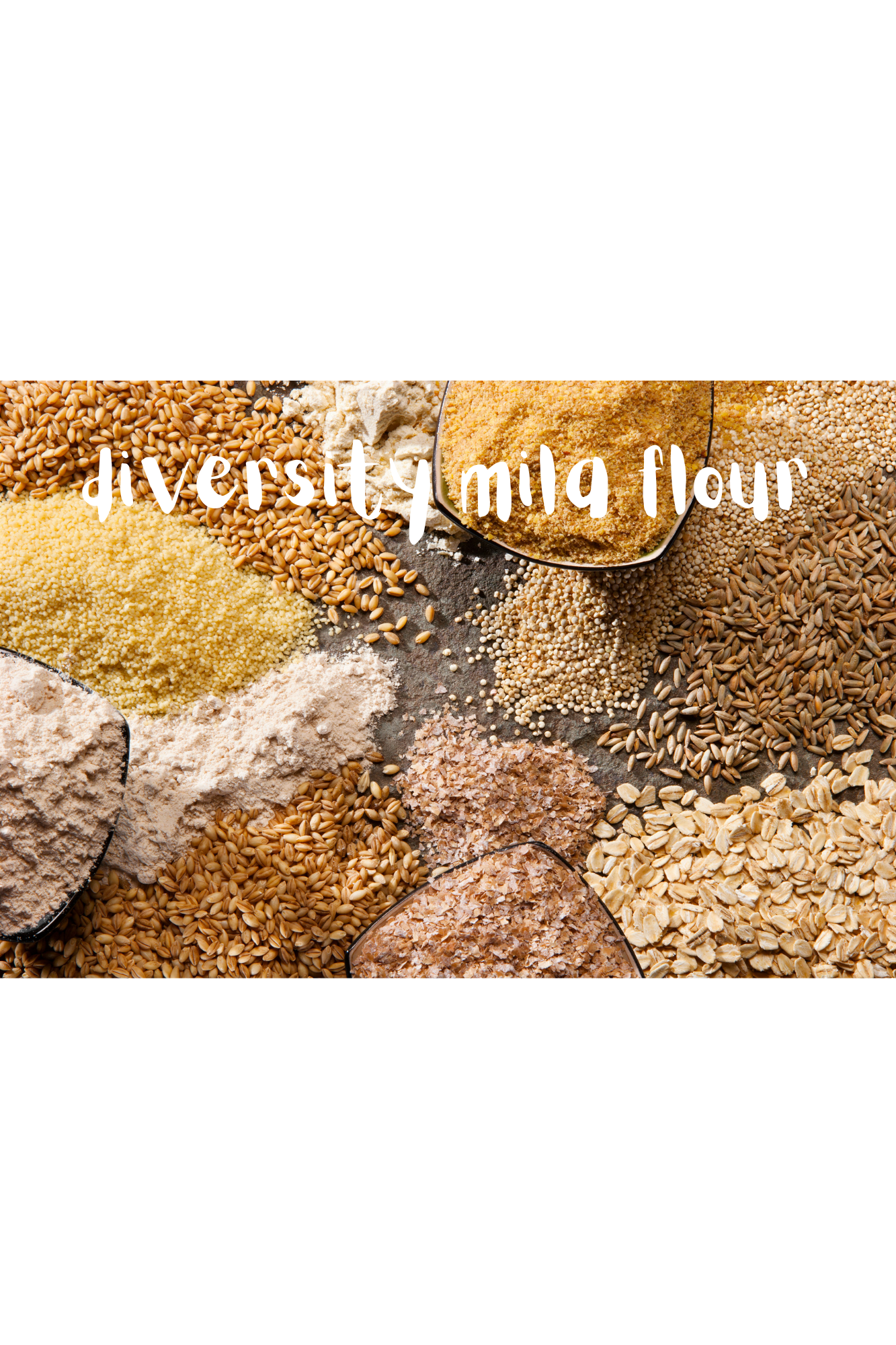 Stoneground Diversity Blend Flour fine 1 kg_0