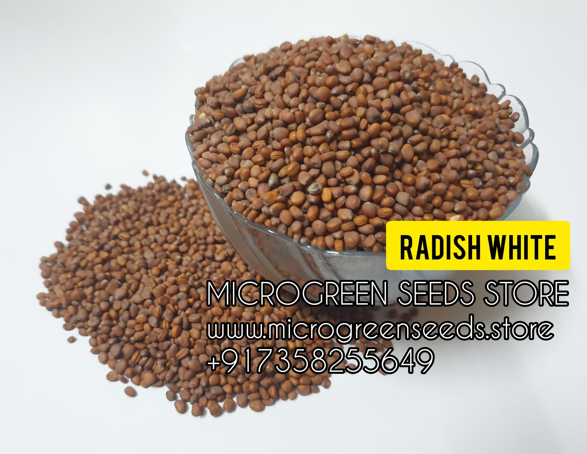 Radish White  - 500 Gram's_1