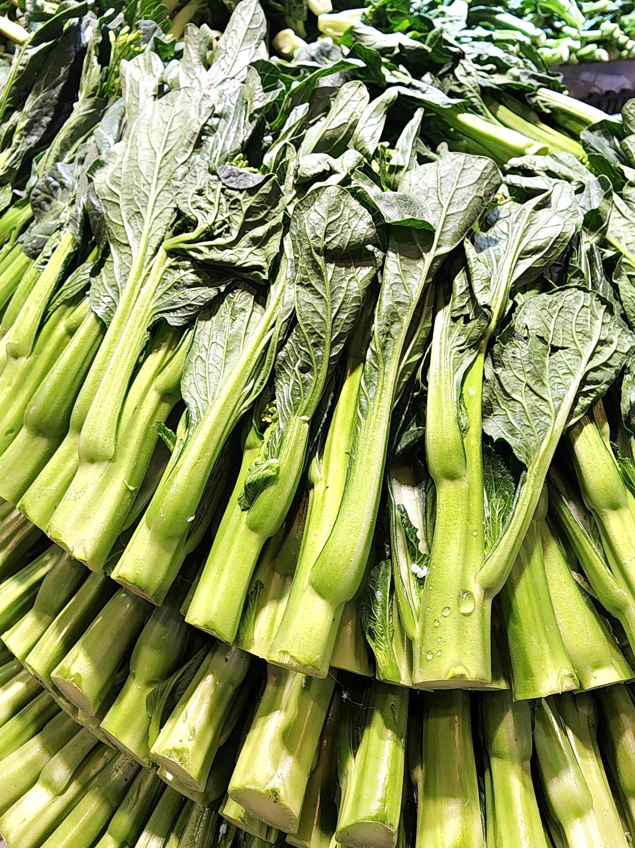 尖葉菜心🥦 （斤）_0