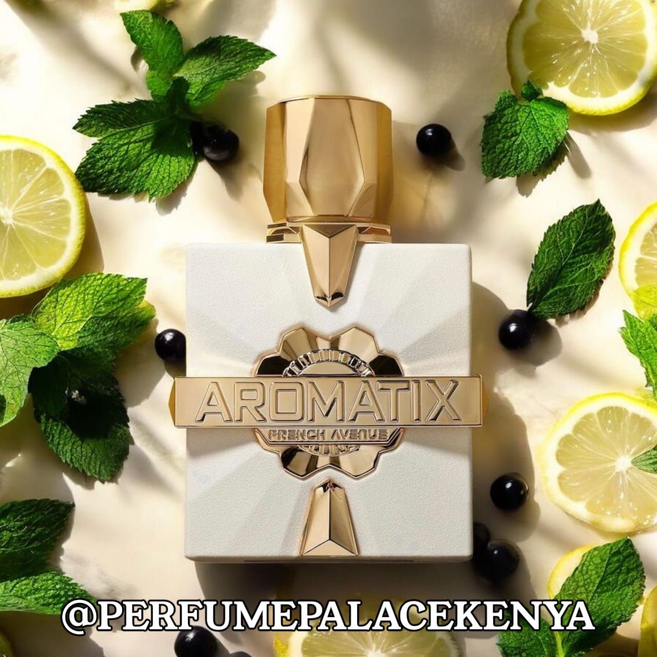 AROMATIX PLATINE BLANC_0