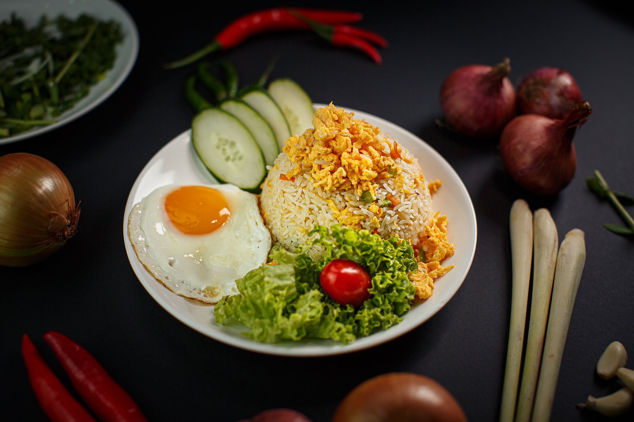 FR04. Vietnamese Egg Fried Rice_0
