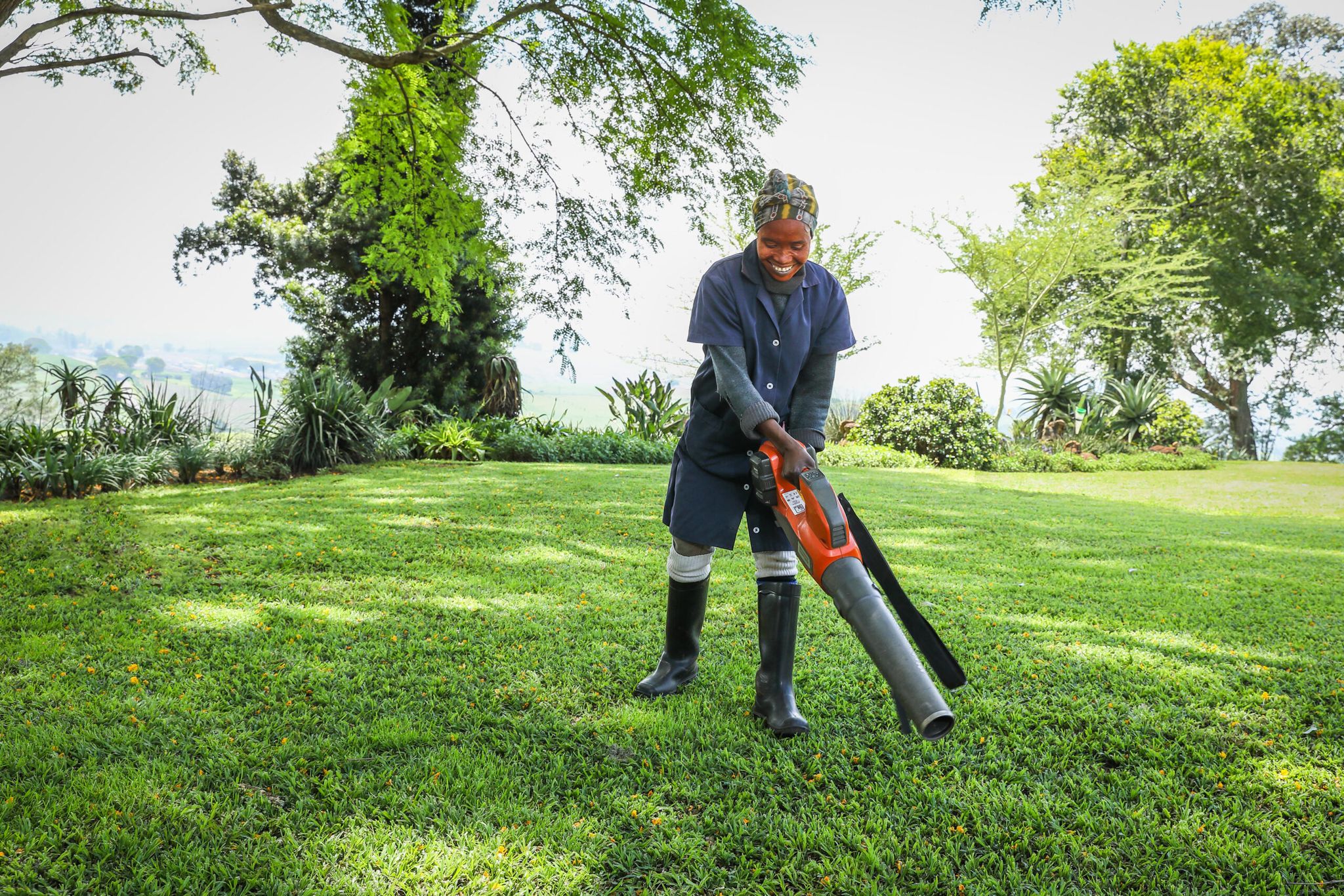 🌿 Full Yard Clean-Up_0