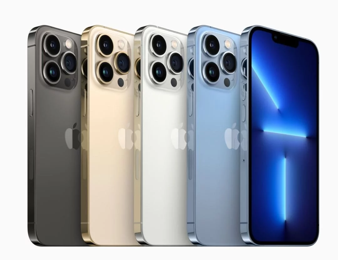 iPhone 13 Pro Max 256Gb (venant presque neuf - Garantie 3 mois sauf écran)_3
