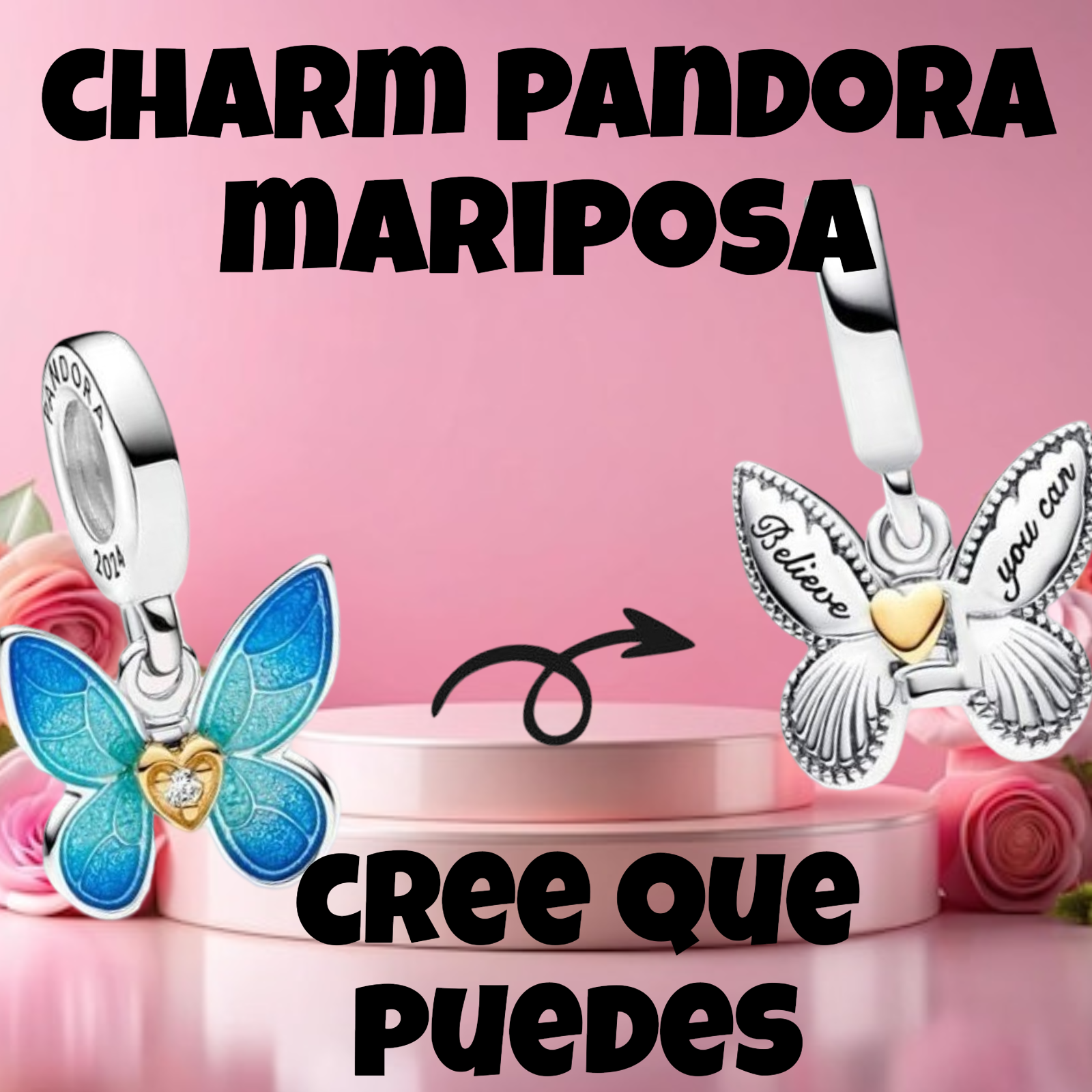 Charm mariposa nueva_1