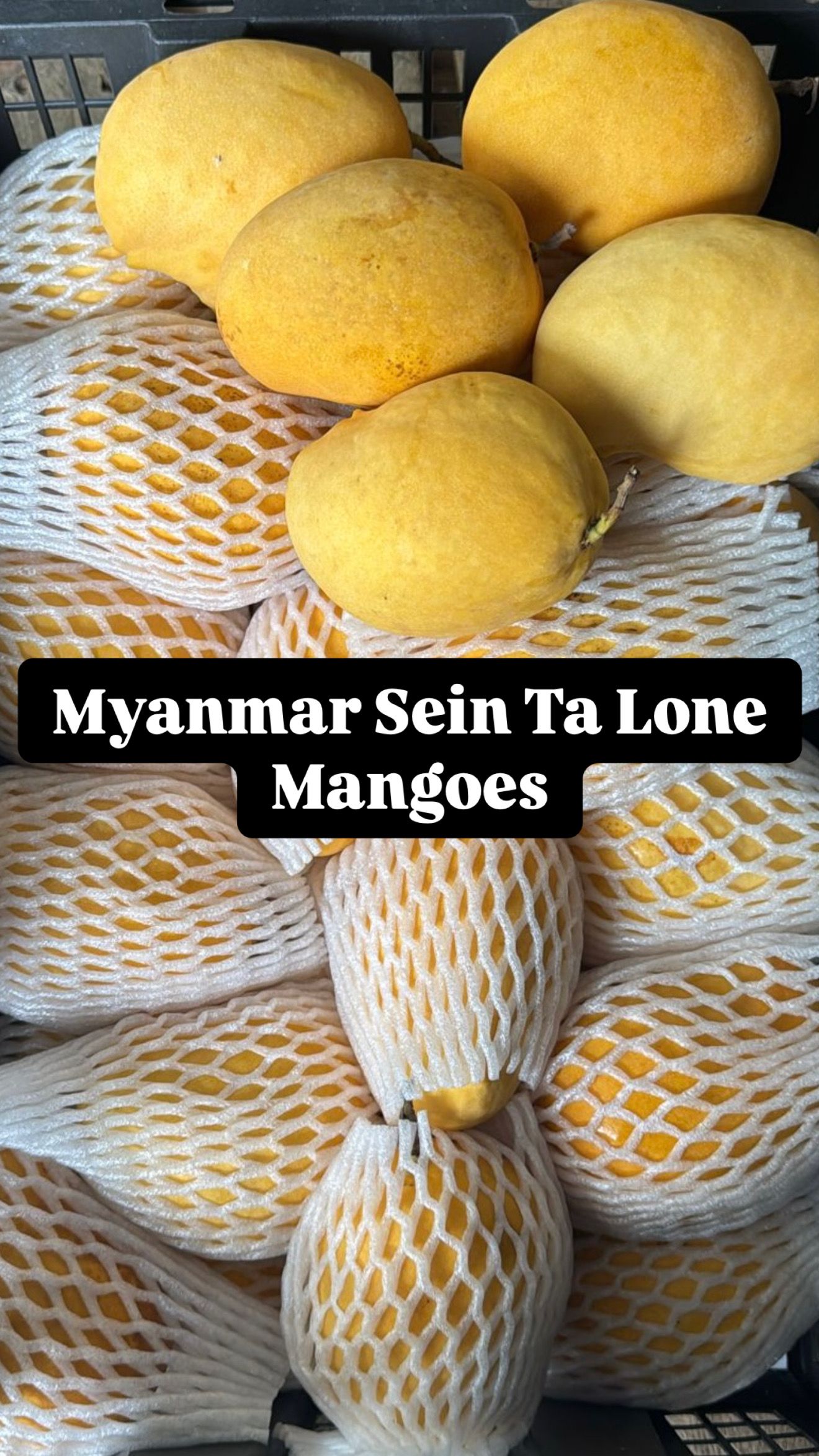 MYANMAR SEIN TA LONE MANGOES_0