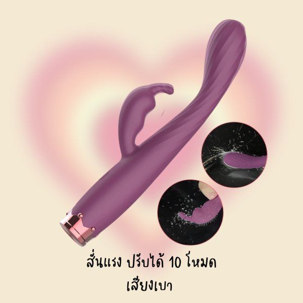 ดิลสั่น 2 จุด mini_3