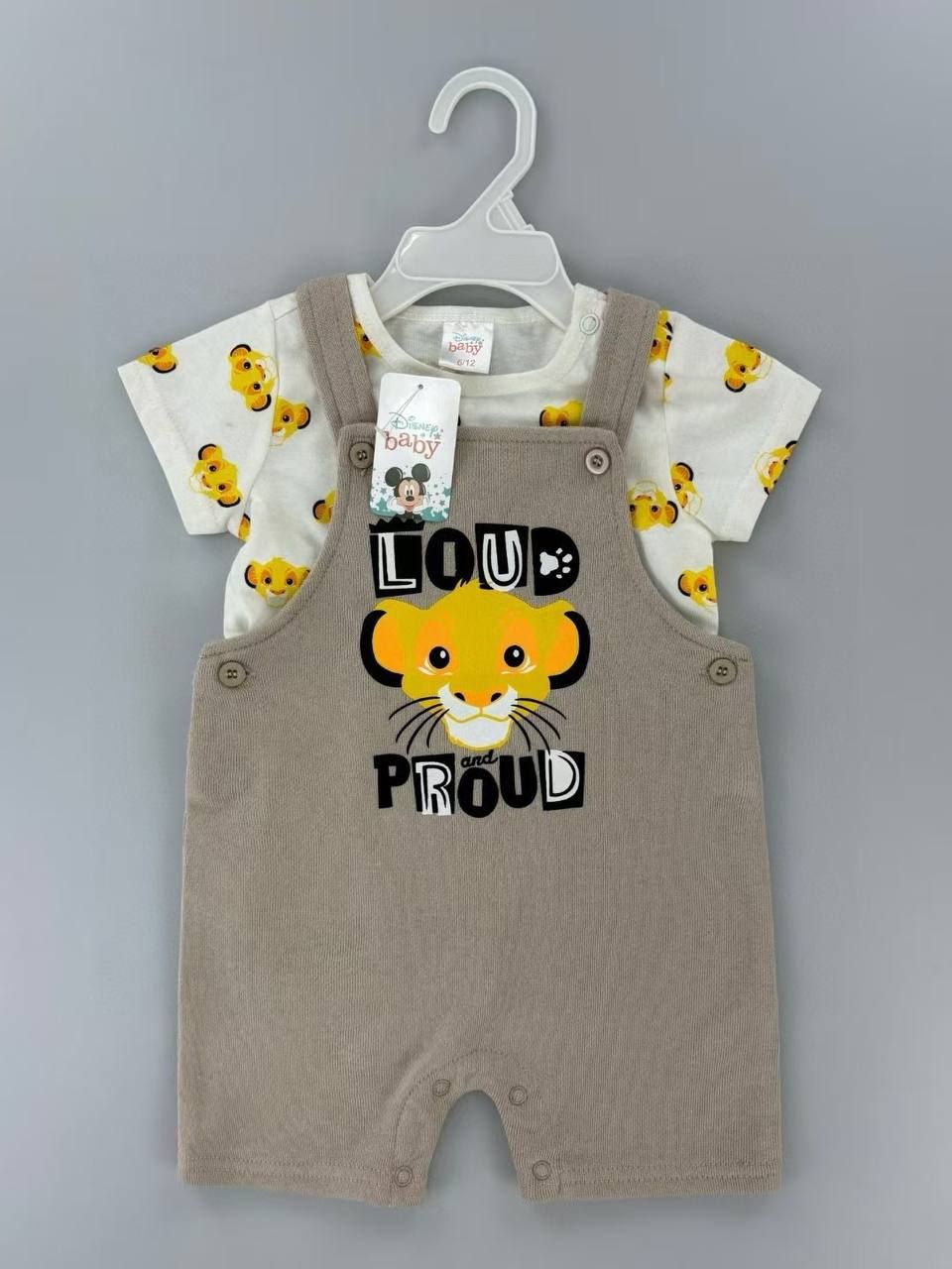 Overall Dis (SIMBA)_0