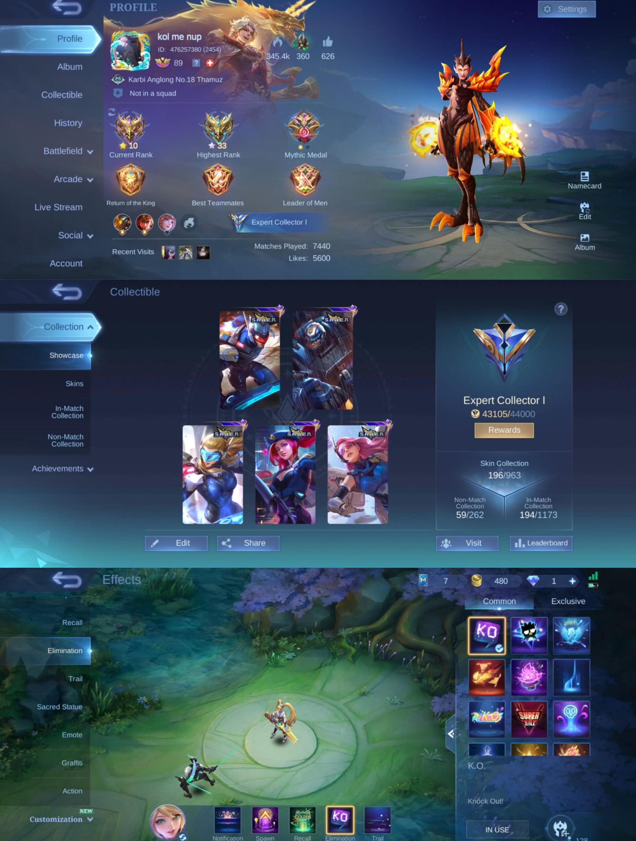 [MAX HERO + EMBLEM] 196 Skins_0