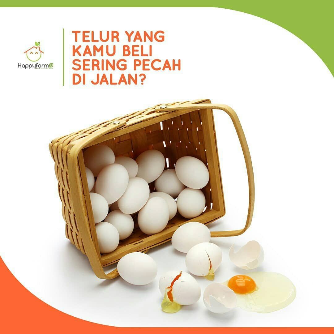 60 Telur Kampung Box_0