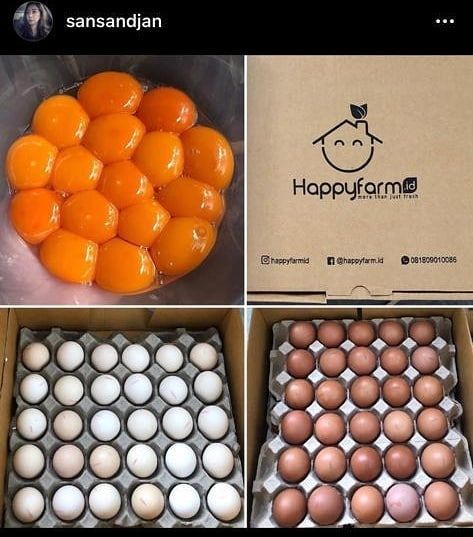 Mix 60 Box (30 Telur Kampung + 30 Telur Negeri)_0