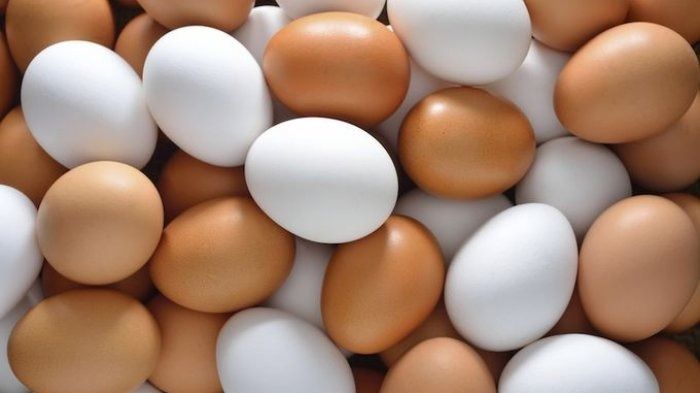 Telur Mix 30_0