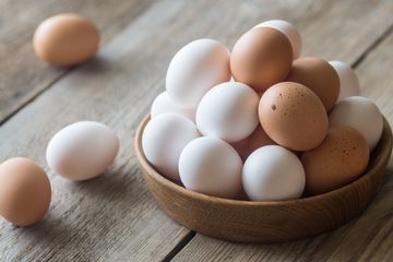 Telur Mix 60_0