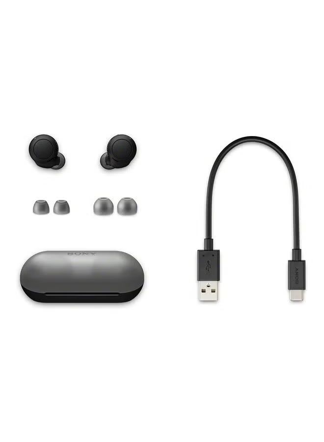 Sony WF-C500 True Wireless Headphones - Up To 20 Hours Battery Life With Charging Case - Voice Assistant Compatible - Built-In Mic For Phone Calls - Reliable Bluetooth Connection - Black_4