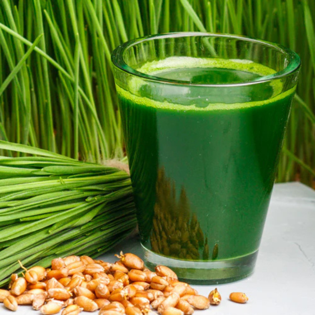 Wheatgrass Shot_0