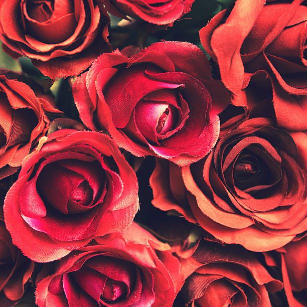 Bos blomme _0