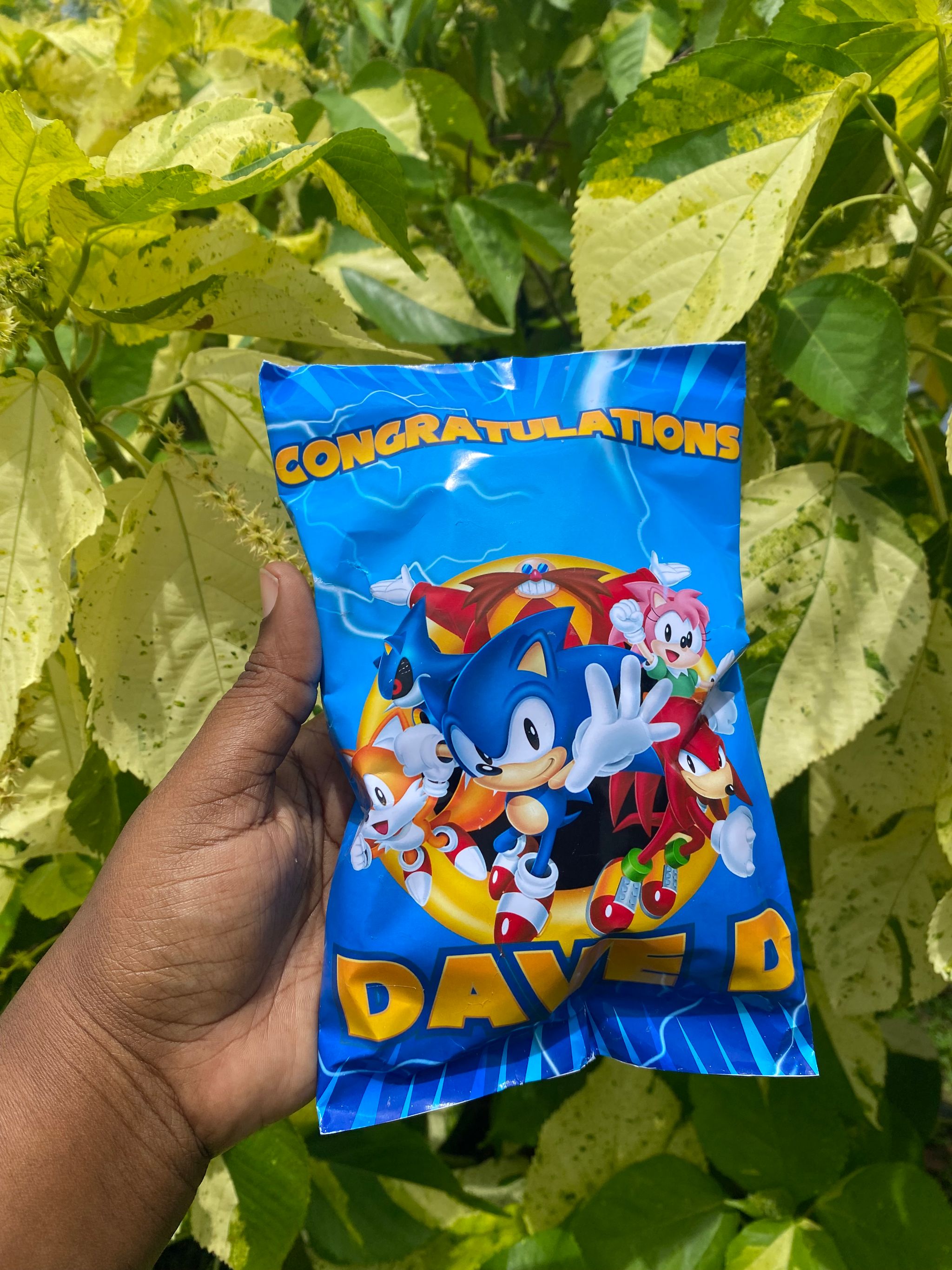 Custom Chips Bags_0