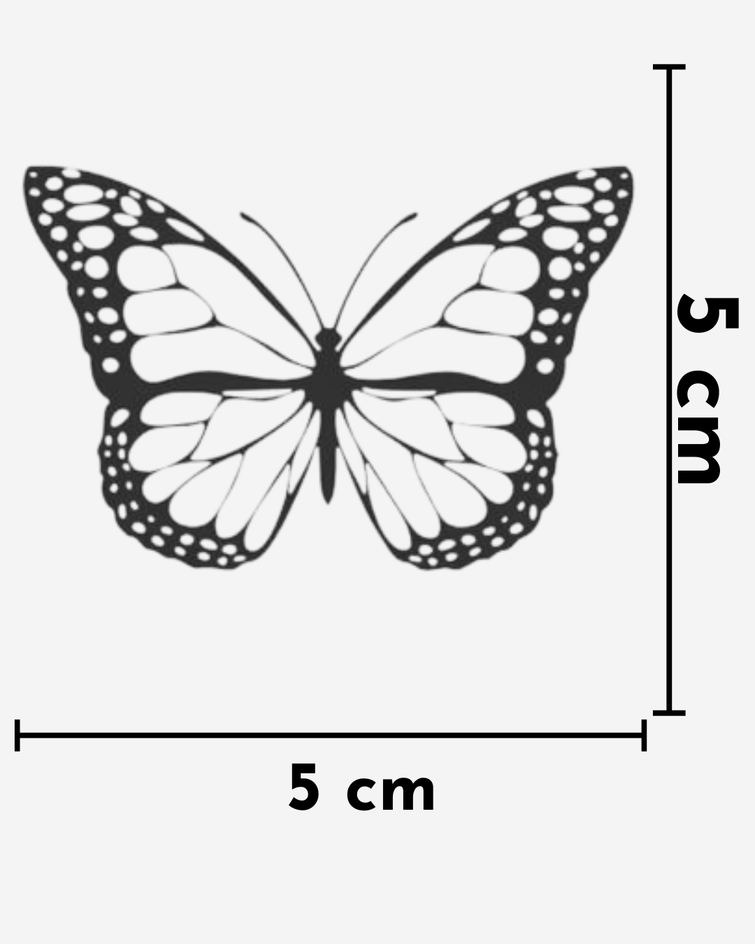 MariposaSimple - SPX 003_0