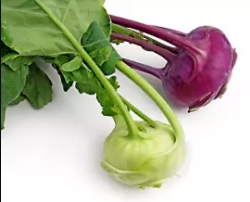 Koolrabi_0