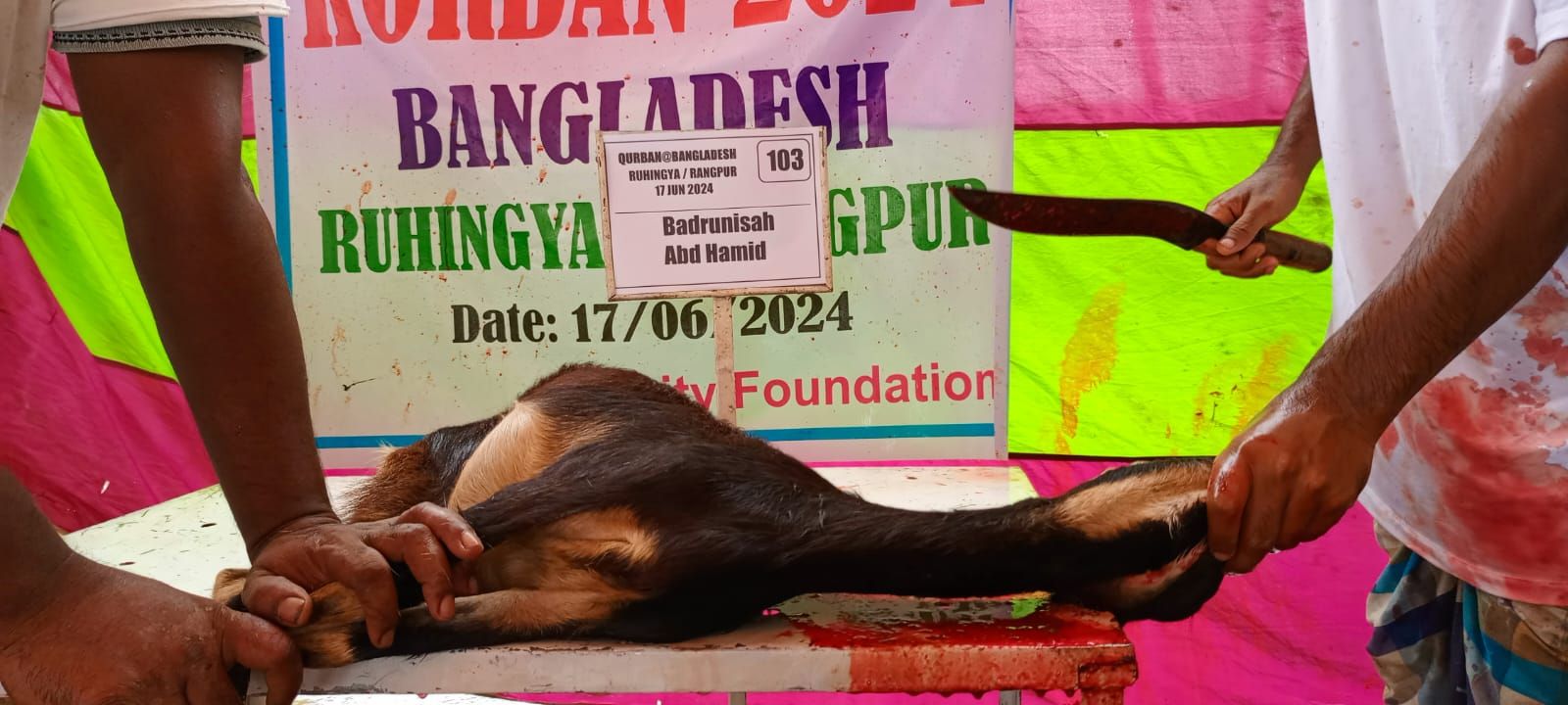 [Bangladesh] - Goat_1