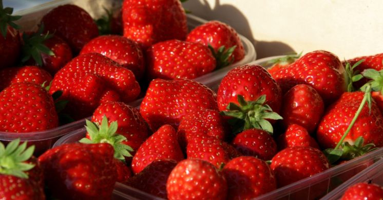 Supplément Fraise_0