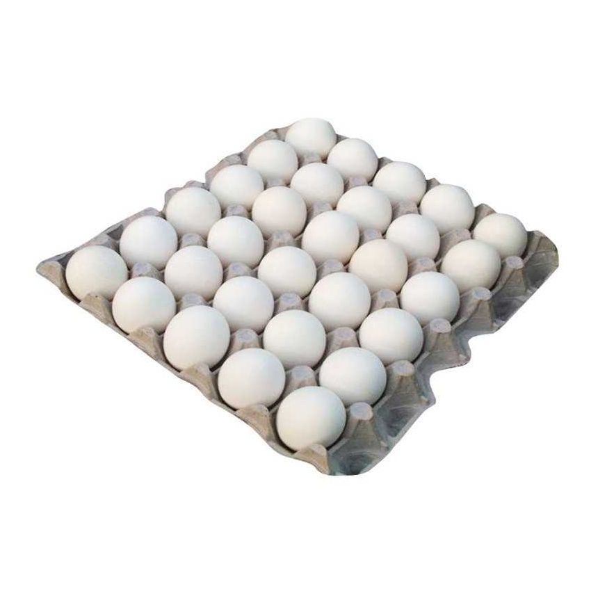 LOCAL EGG LARGE SAUDI ARABIA 30x12 Pieces_0