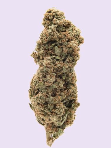 White Rhino Hash – 58.59% THC_0