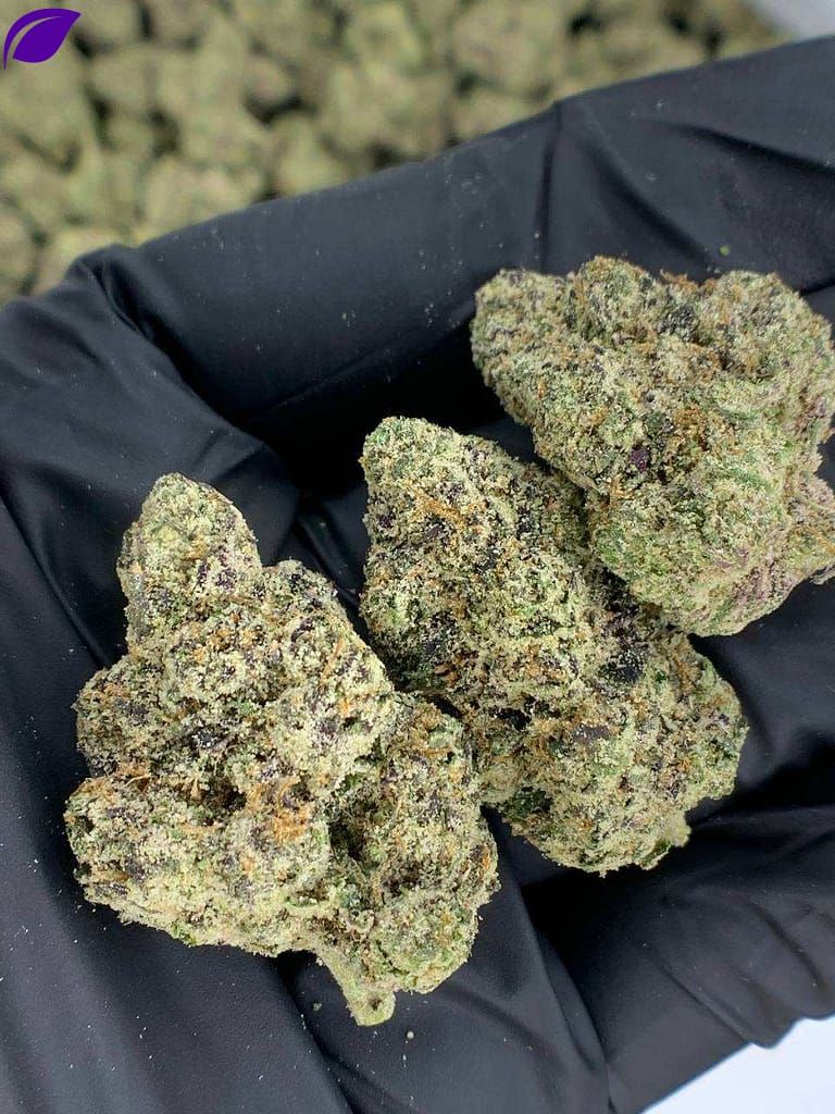 Bubble Gum Runtz 18-45% THCA Flower APE_0