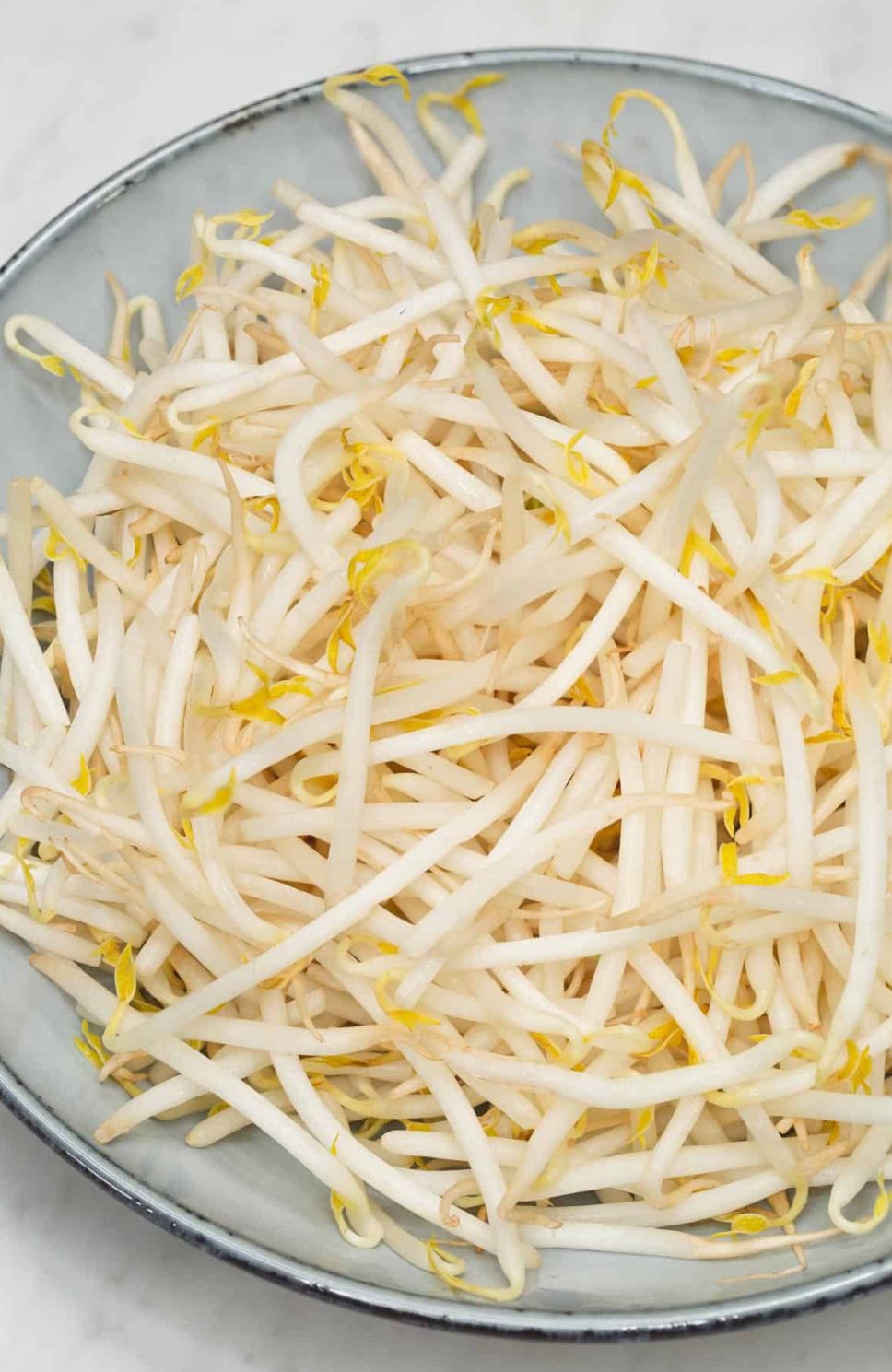 សណ្ដែកបណ្ដុះ_0