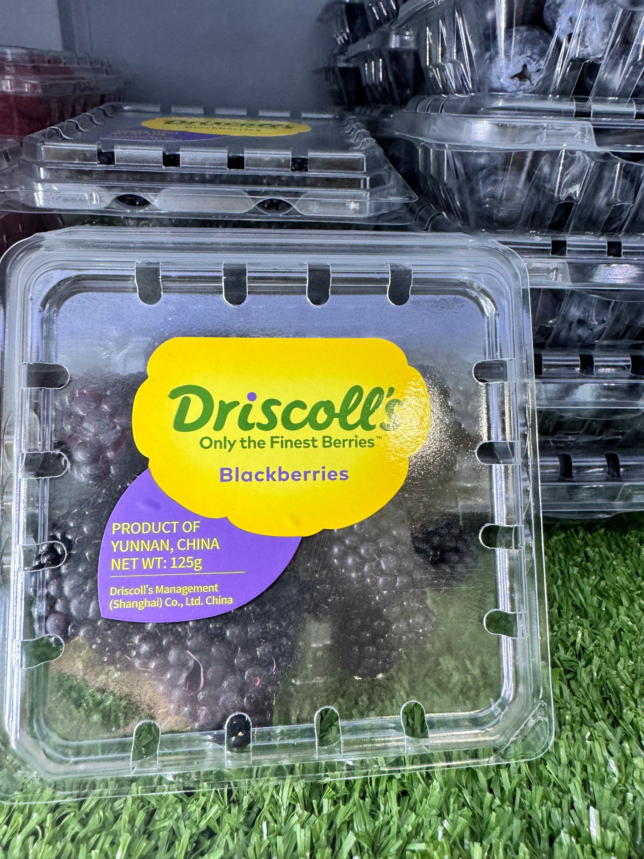 China Driscoll’s Blackberry _0