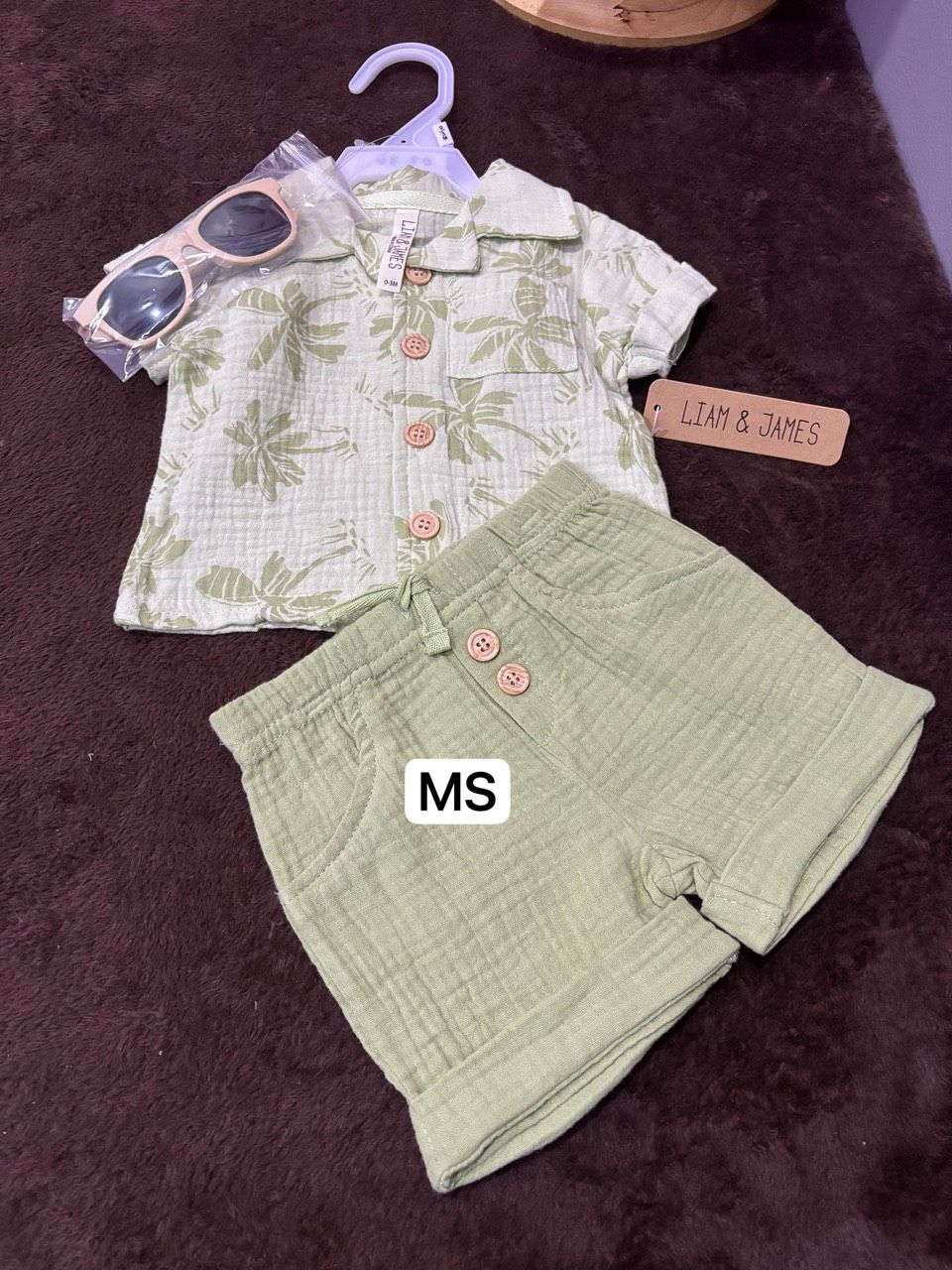 Playset Collar Rayban Green_0