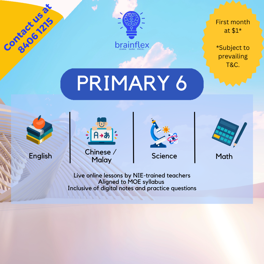 Primary 6_0