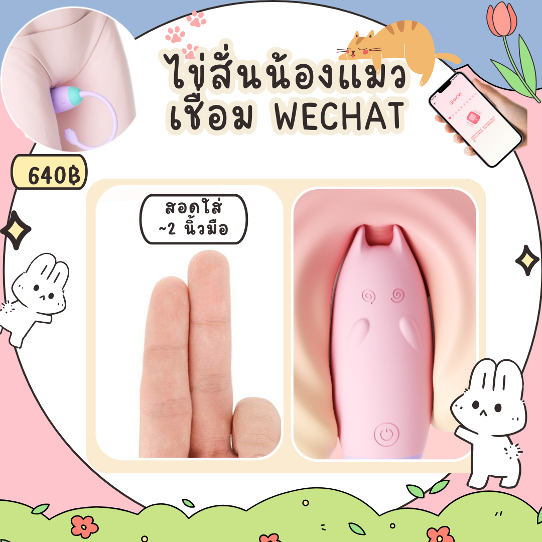 ไข่สั่นน้องแมวเหมียว แอพ wechat_2