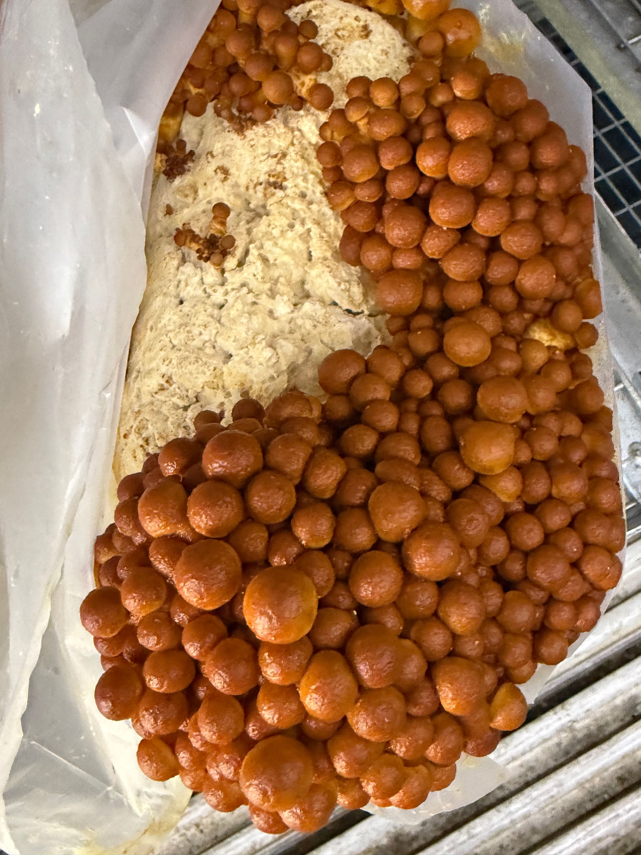 Nameko per 250 grams _1