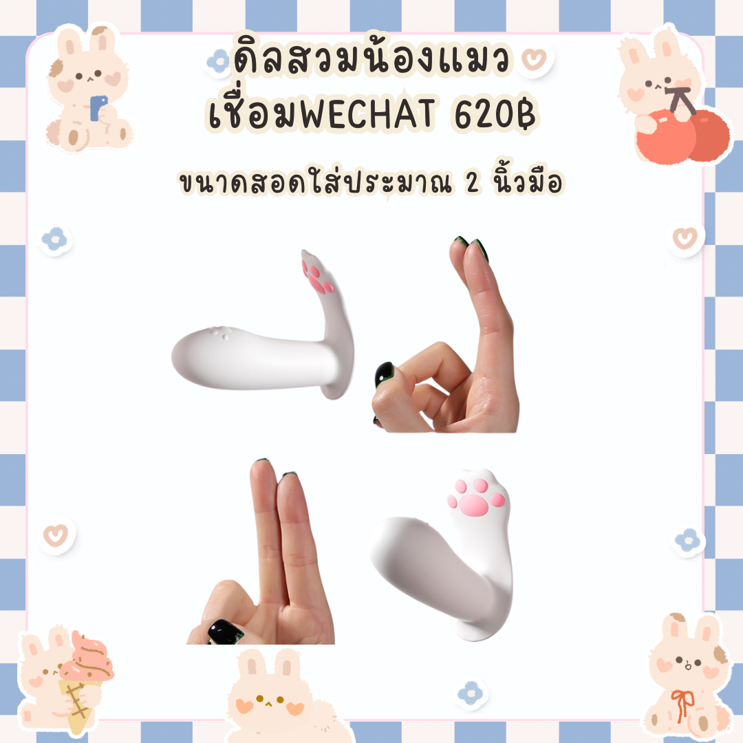 miniดิลสอดใส่ น้องเหมียว เชื่อมแอพwechat_3