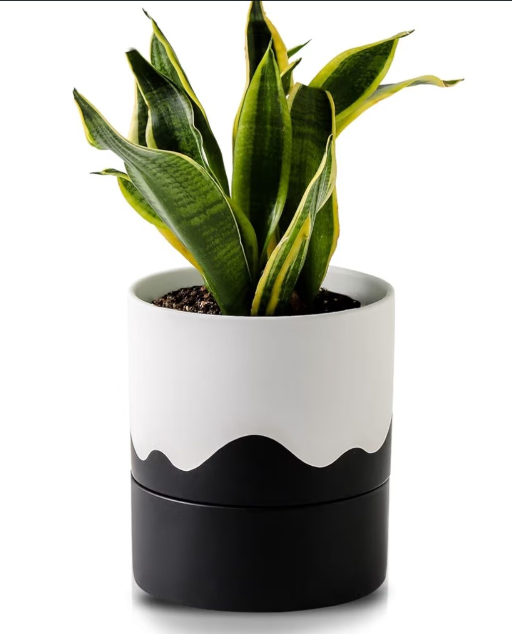 6" Ceramic Self-Watering Planter _1