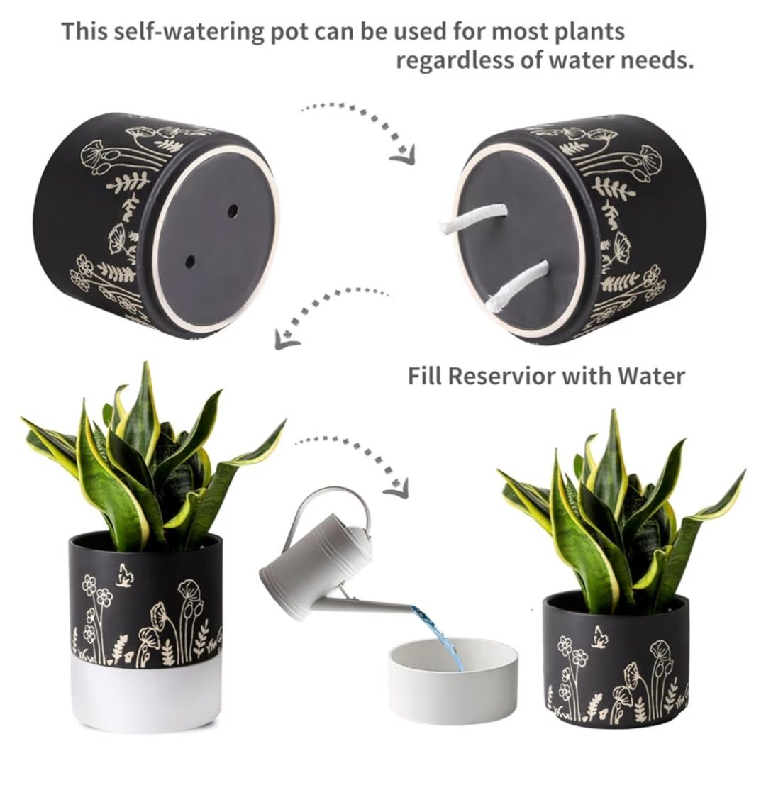 6" Ceramic Self-Watering Planter _1