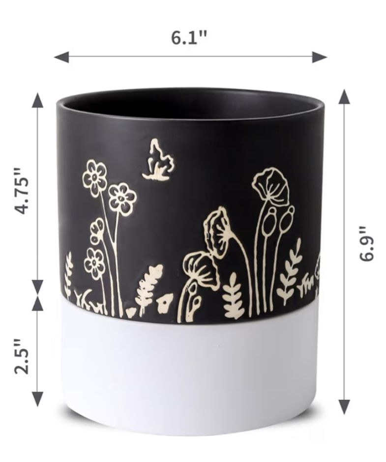 6" Ceramic Self-Watering Planter _2