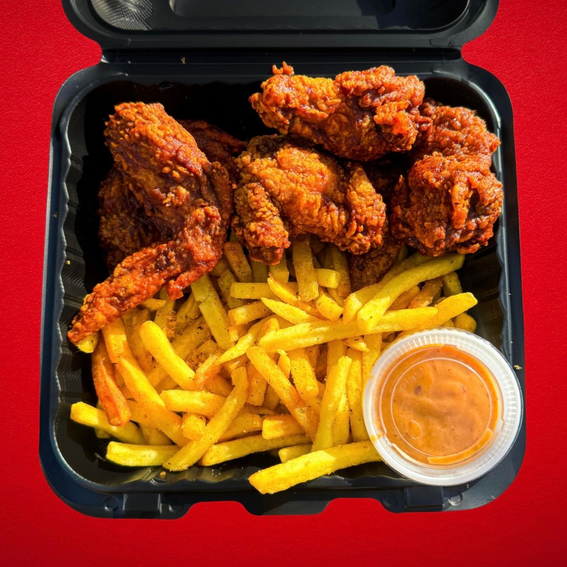 6 WINGS W/ FRIES_0