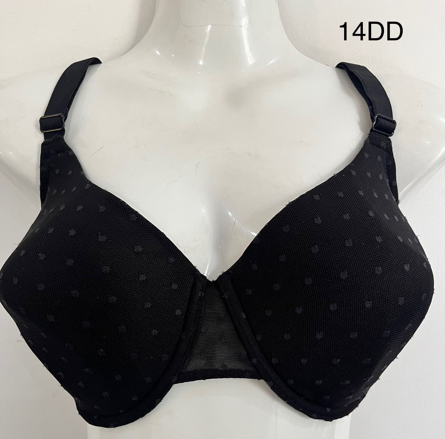 Soutien-Gorge à coque Taille 14DD/80E_0
