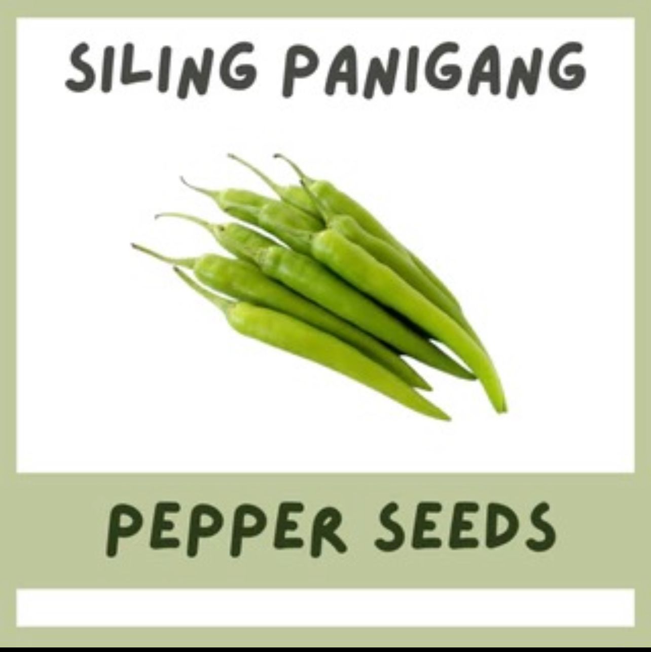 Sili Panigang - Hot 20 seeds _0