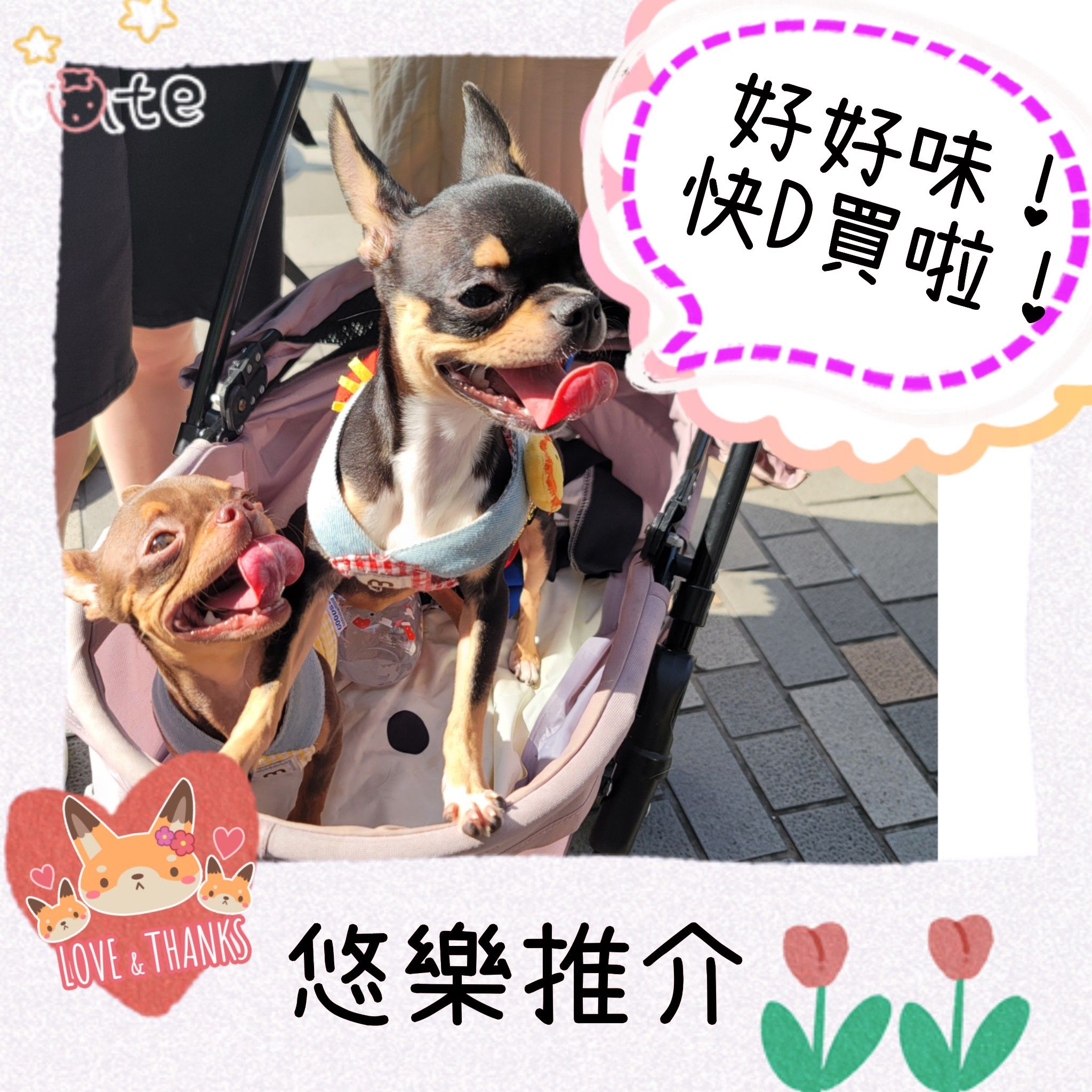 悠樂雙式餐肉(香港製造) (無防腐劑)_1