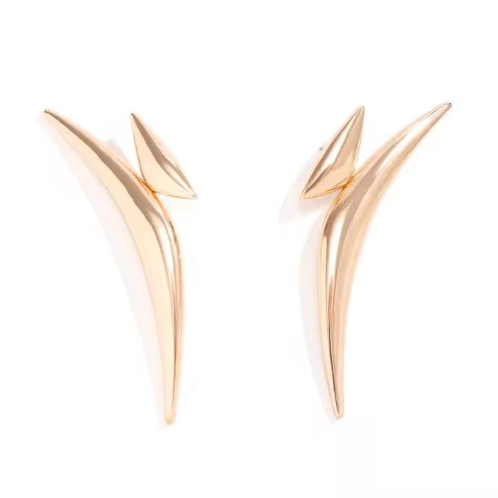 Sassy Gold Earings _1