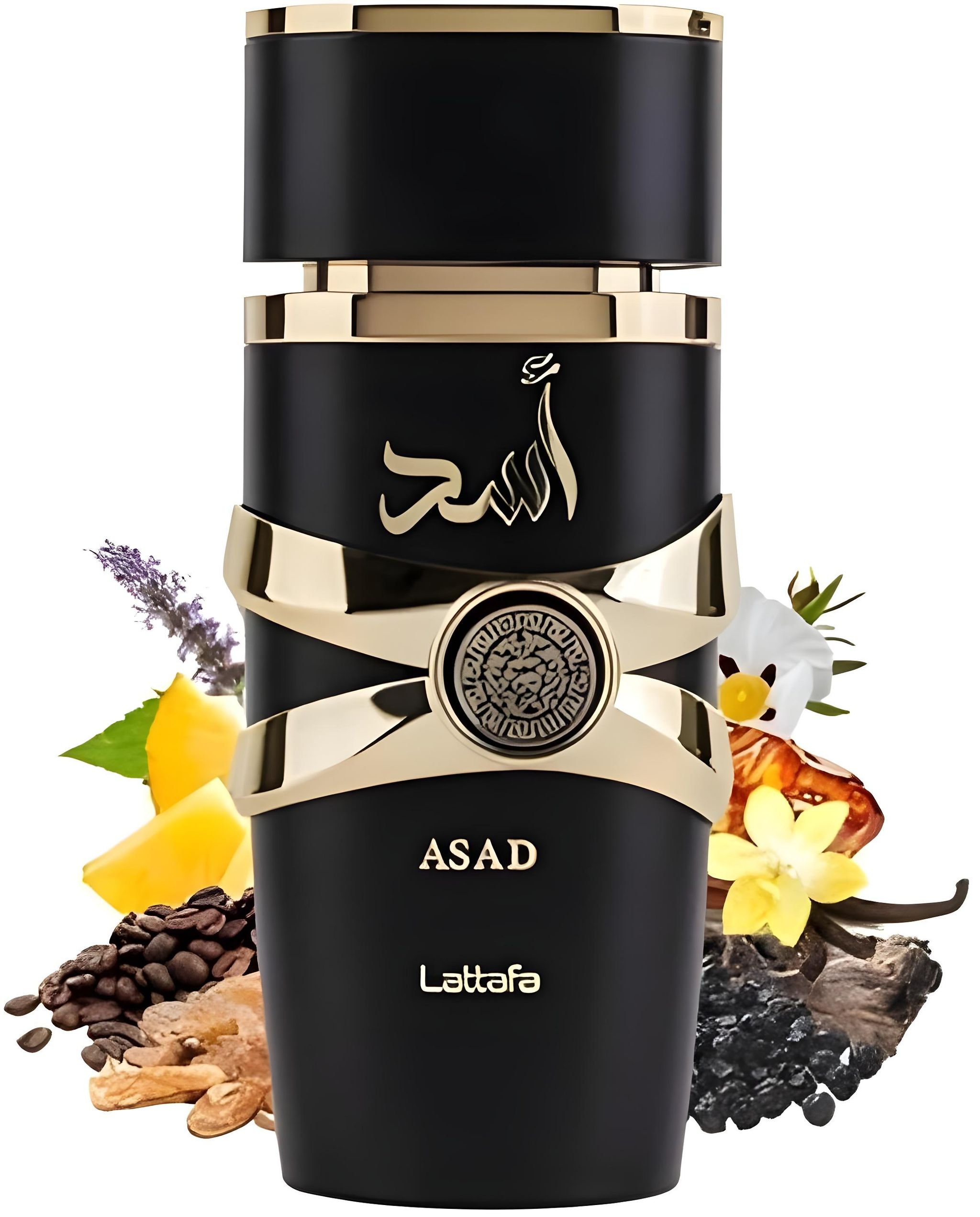 Asad _1