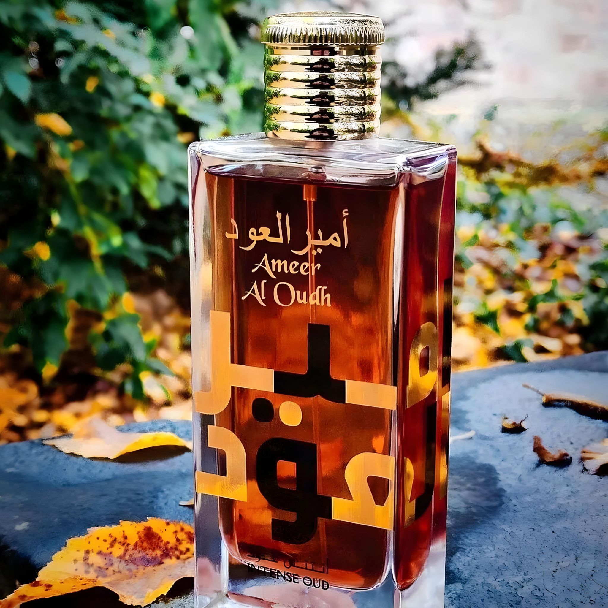Ameer Al Oudh Intense Oud_2