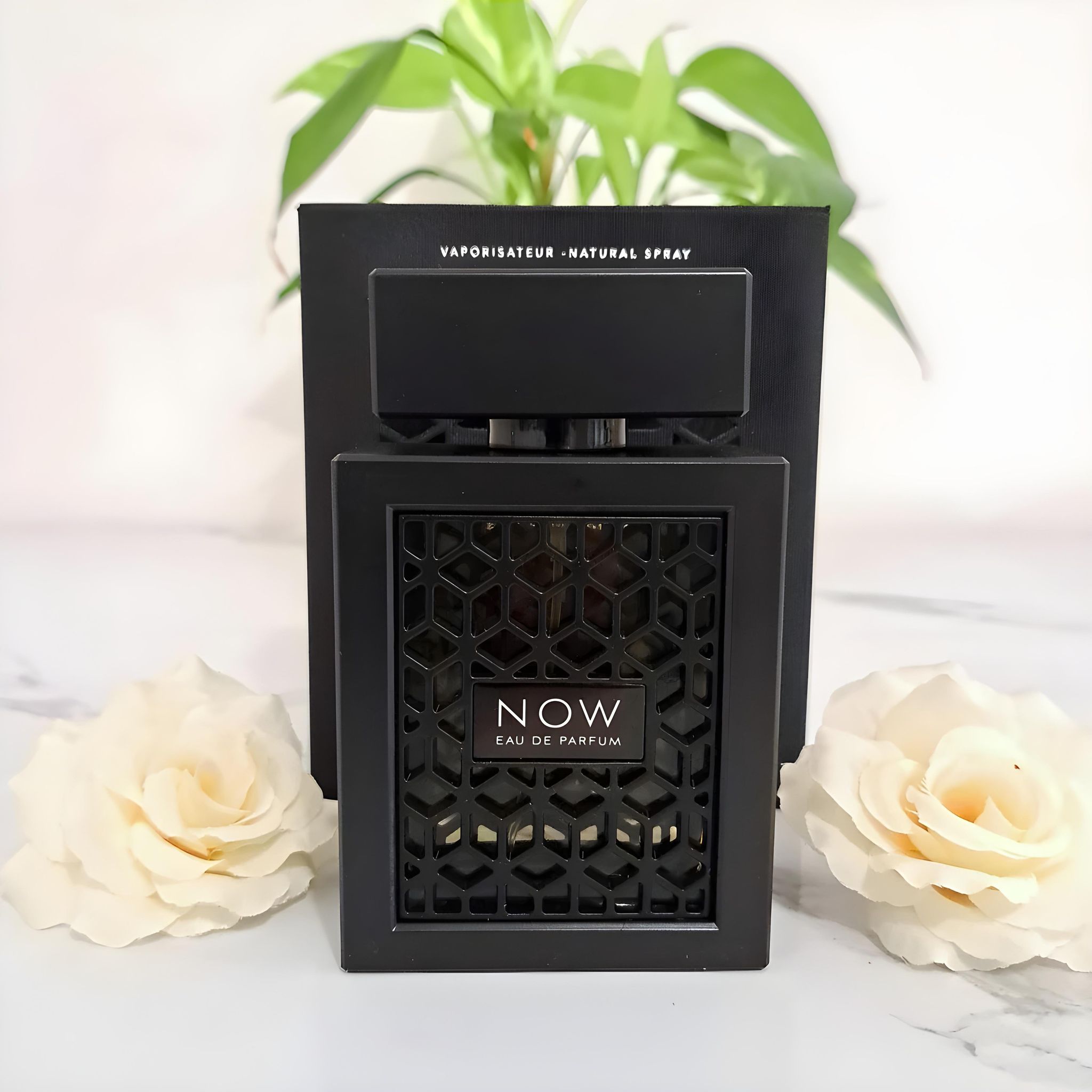 Now Noir – Rave_2