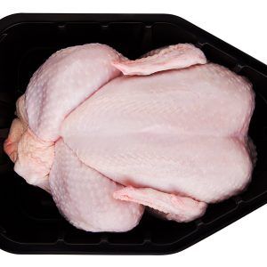 poulet pondeuse _0