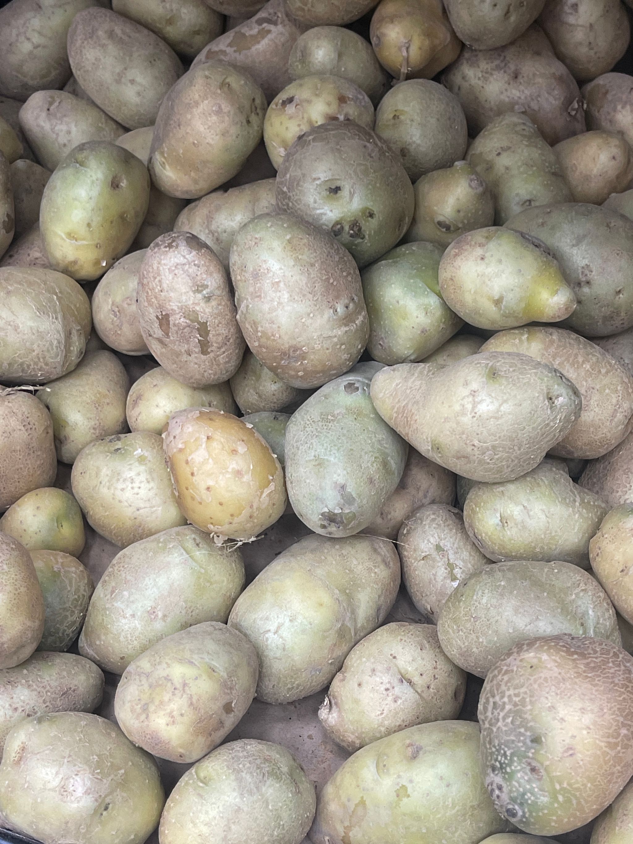 Sweet potatoes importe /kg_0