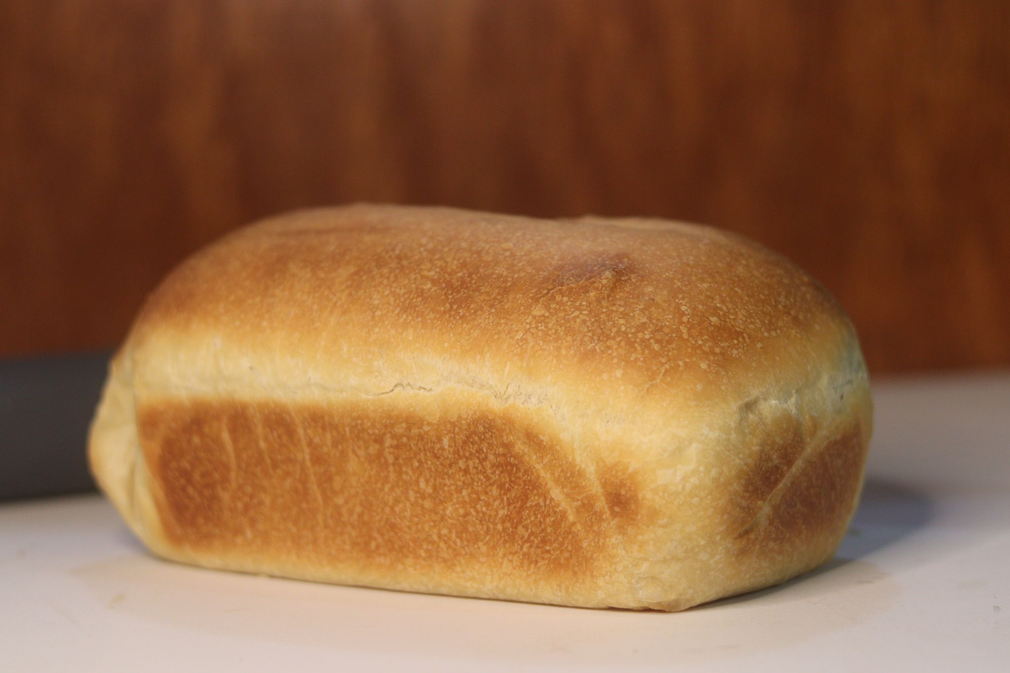 Sourdough Sandwich Loaf_0