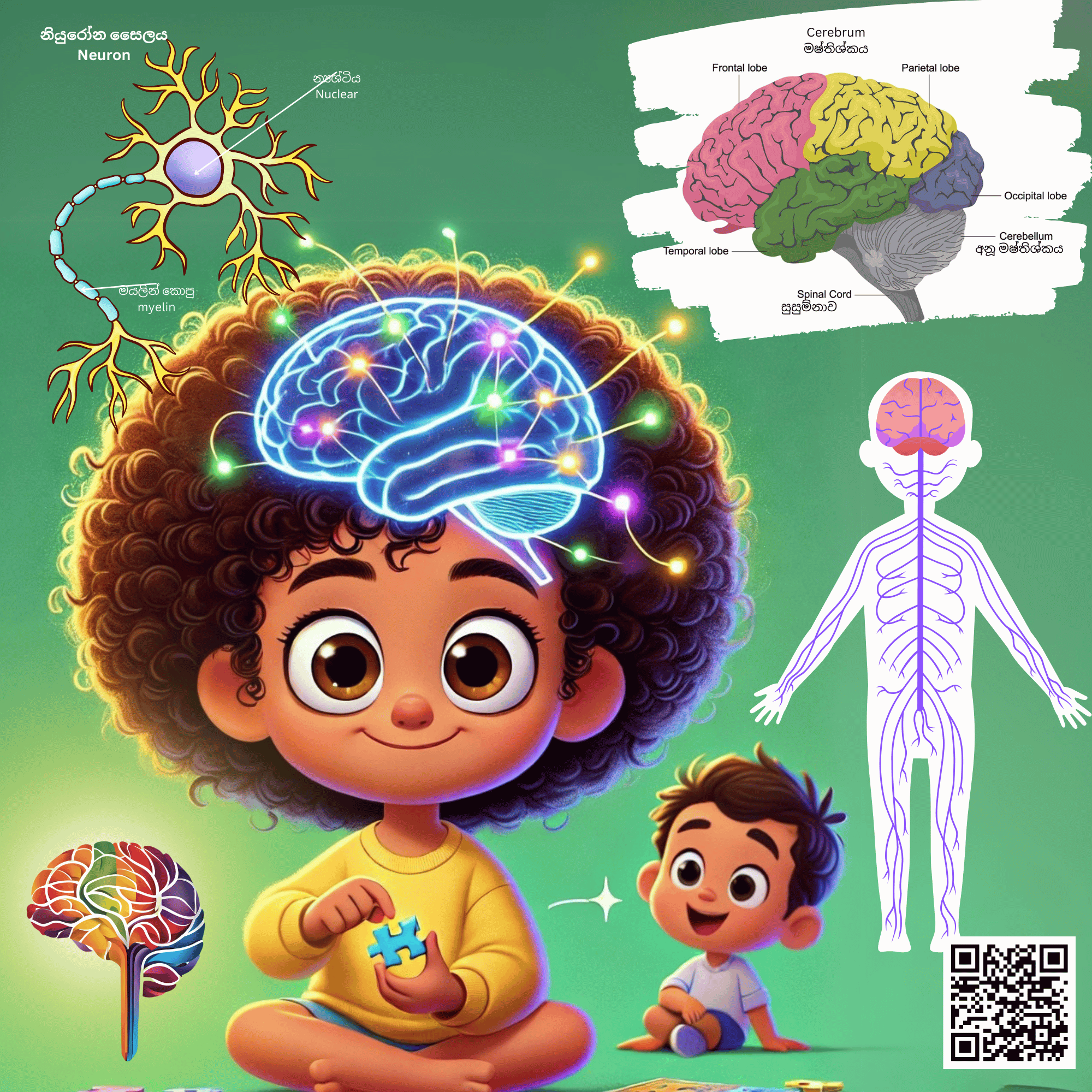 S23 - අමාරු ප්‍රශ්ණය (මොළය සහ ස්නායු)_2
