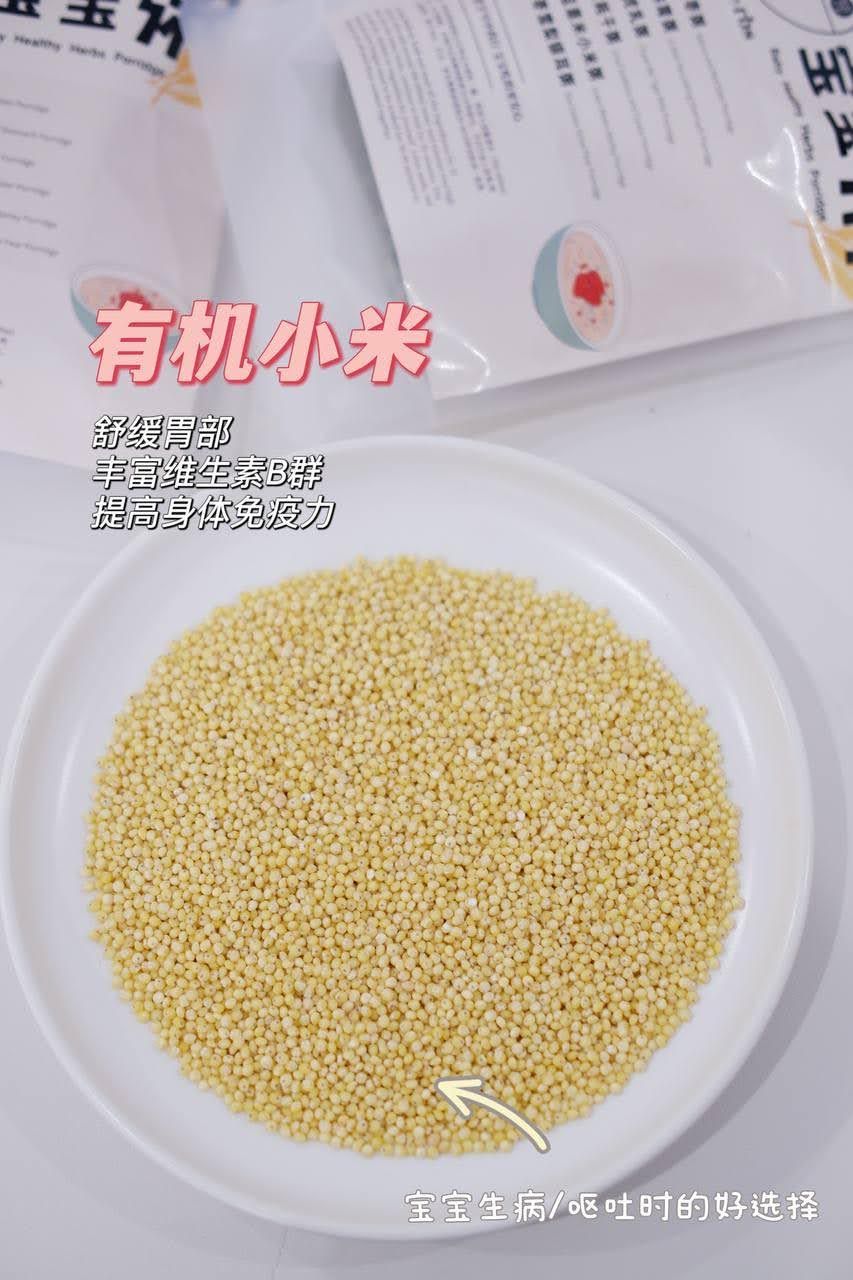 *Bundle Deal* Baby Porridge 宝宝粥优惠 (6M+)_9